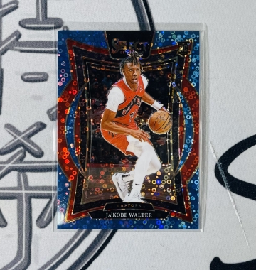 2024-25 Select Jakobe Walter RC /99